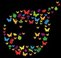 Festival der Zukünfte